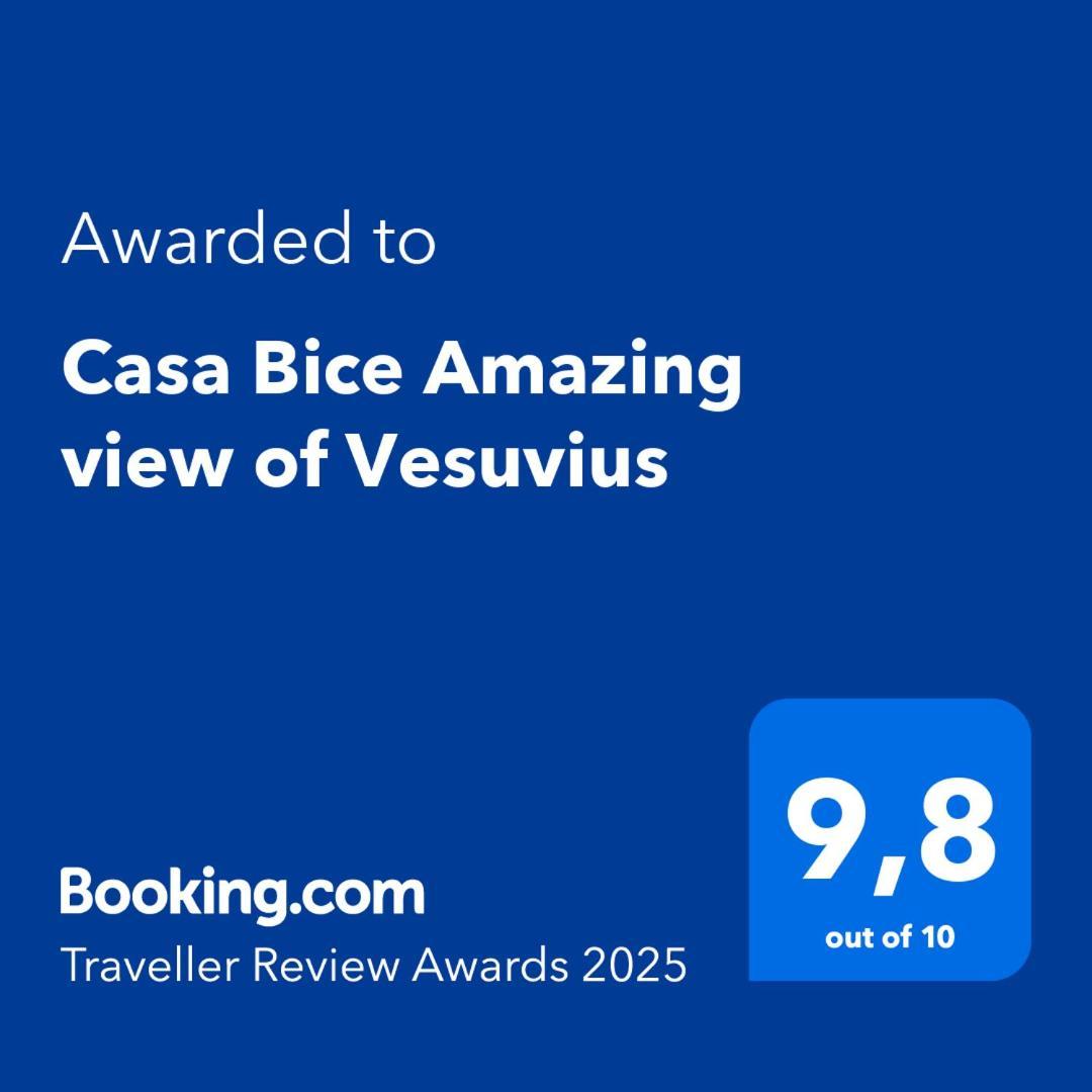 Casa Bice Amazing View Of Vesuvius Apartment Sorrento Bagian luar foto