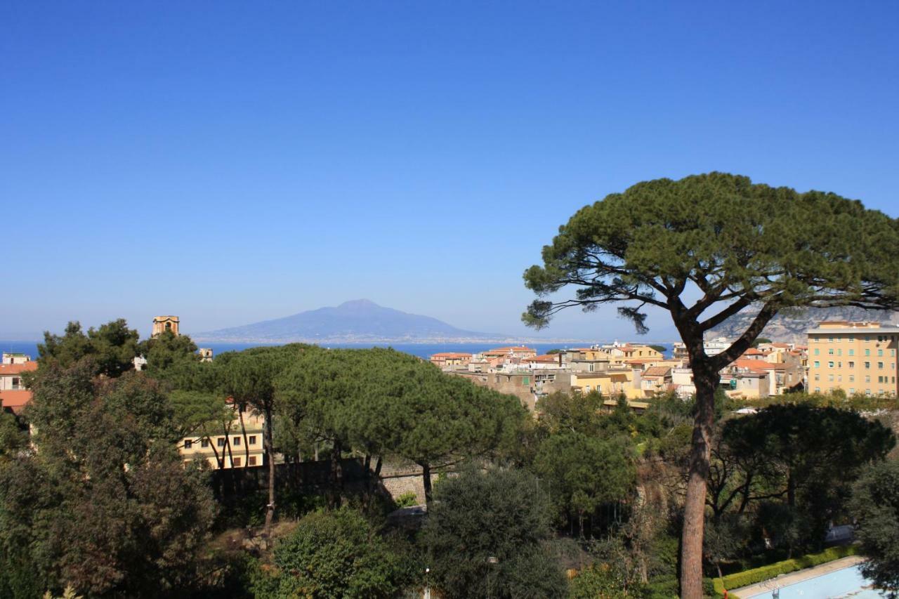 Casa Bice Amazing View Of Vesuvius Apartment Sorrento Bagian luar foto